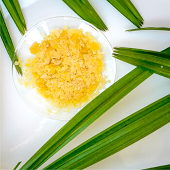 Canauba Wax