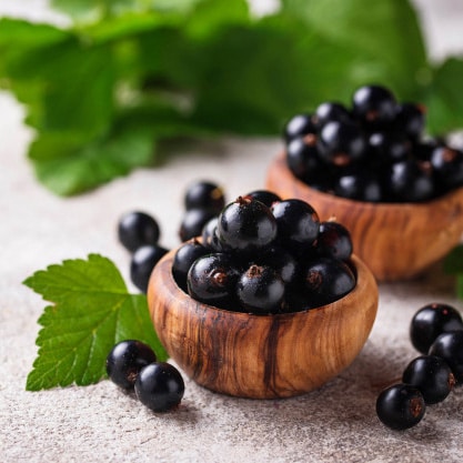Blackcurrant Seed Oil - Shieling Laboratories